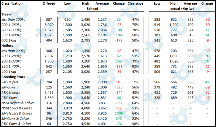 cattle comments auctionsplus 10.06.22 3