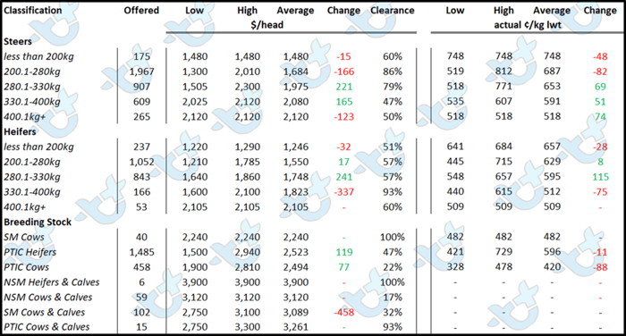 cattle comments auctionsplus 10.06.22 4