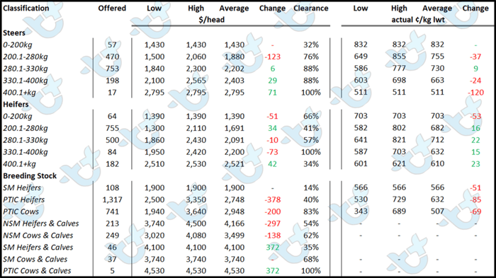 cattle comments auctionsplus 10.06.22 5