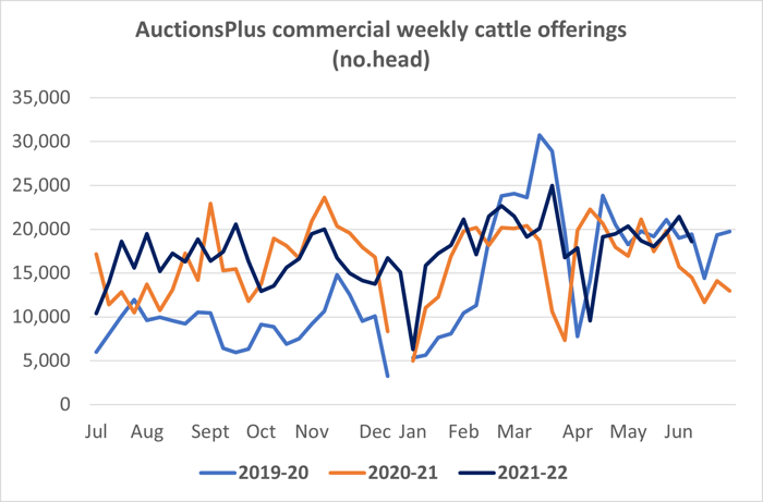 cattle comments auctionsplus 10.06.22 6