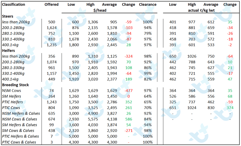 cattle comments-Oct-15-2021-04-46-04-15-AM