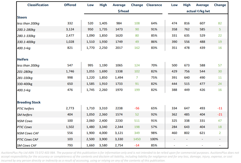 cattle comments