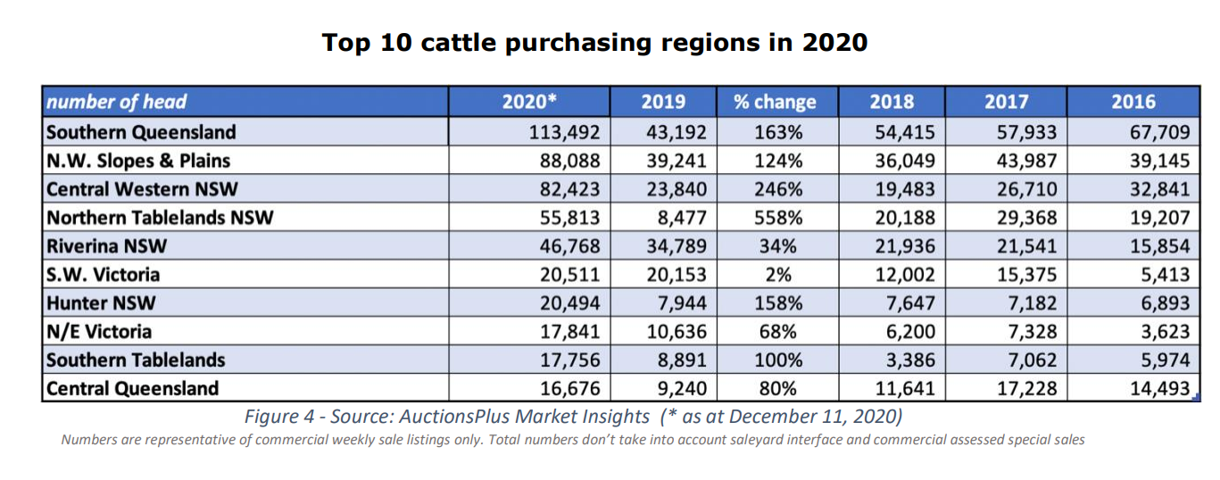 cattle sold through auctionsplus 4 PNG