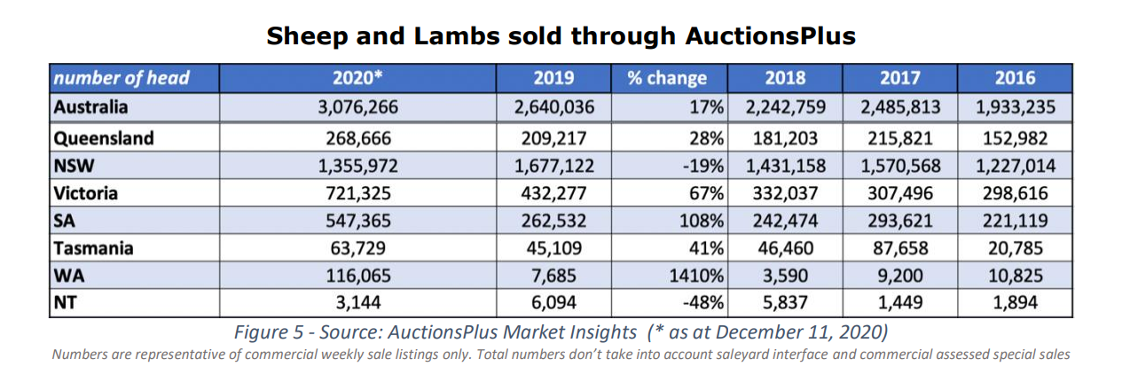 cattle sold through auctionsplus 5