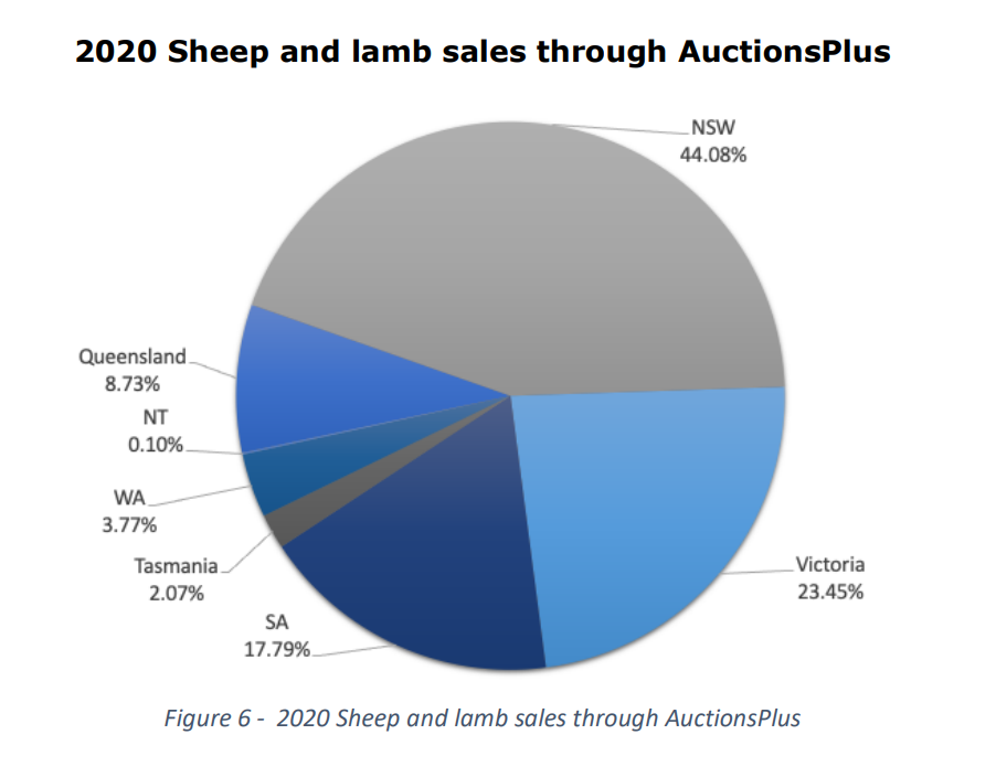 cattle sold through auctionsplus 6