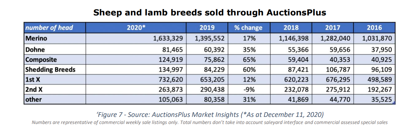 cattle sold through auctionsplus 7