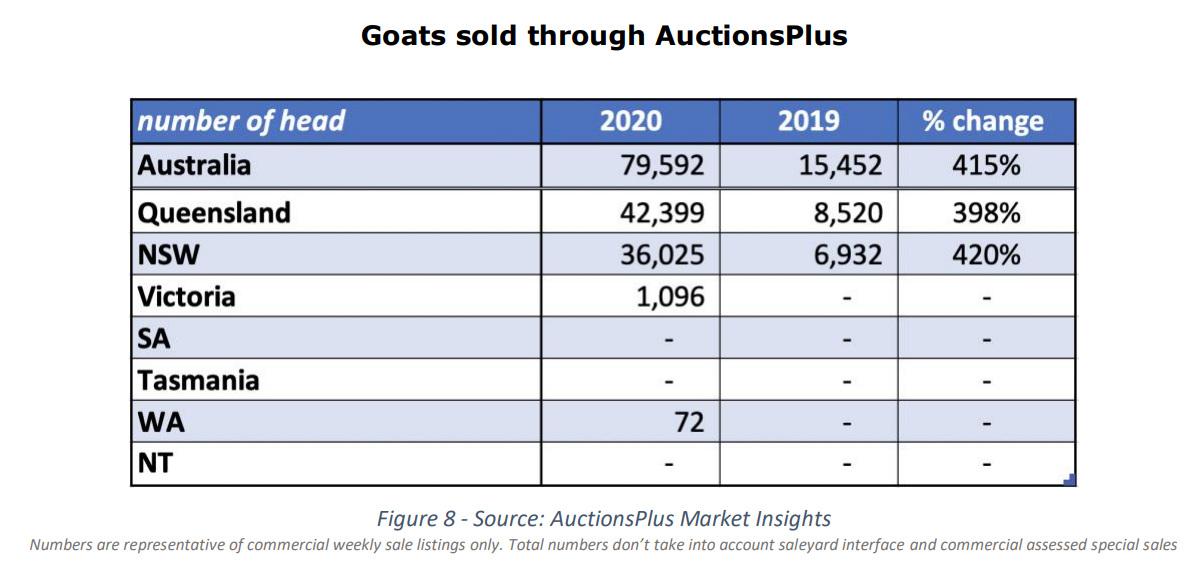 cattle sold through auctionsplus 8 PNG