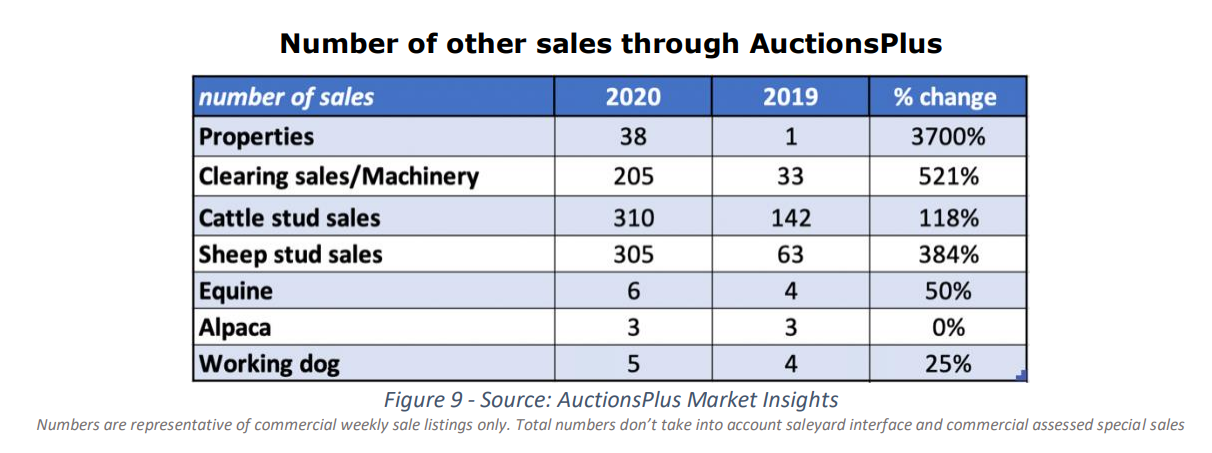 cattle sold through auctionsplus 9