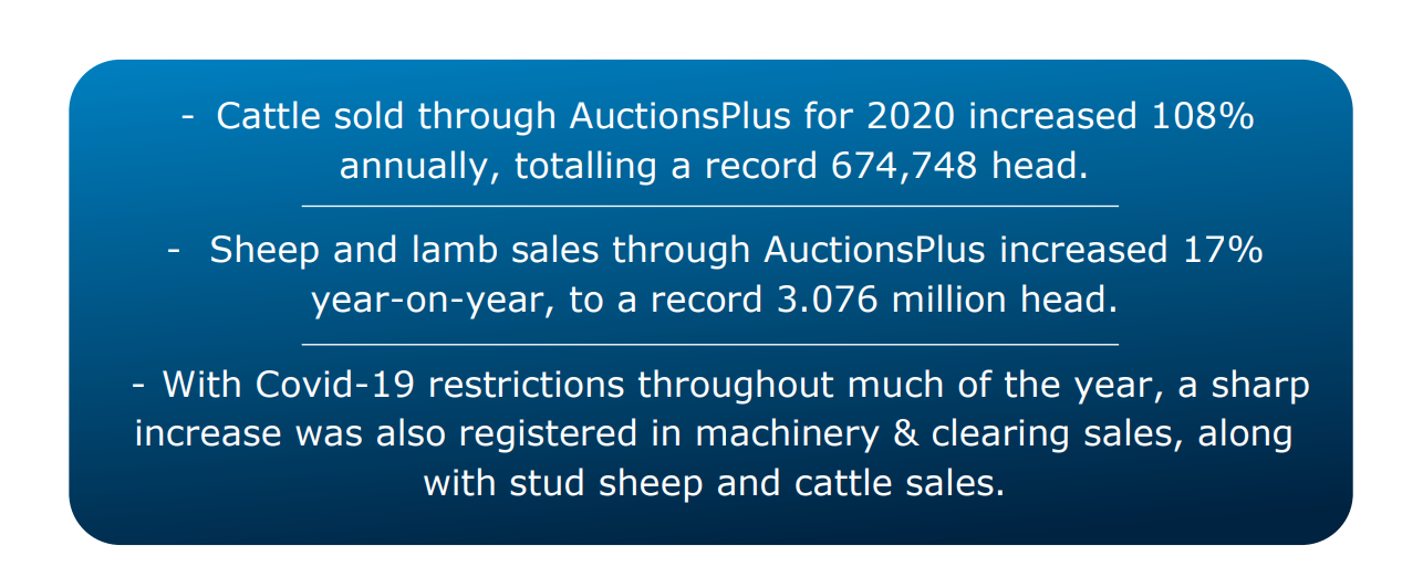 cattle sold through auctionsplus first