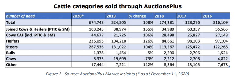 cattle sold through auctionsplus. 2PNG