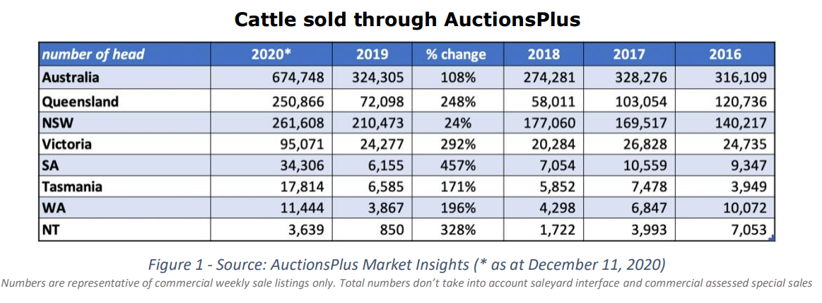 cattle sold through auctionsplus