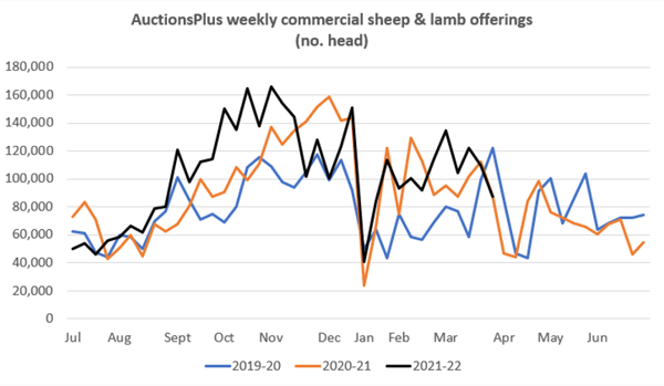 commerical sheep and lamb offering (no of head)