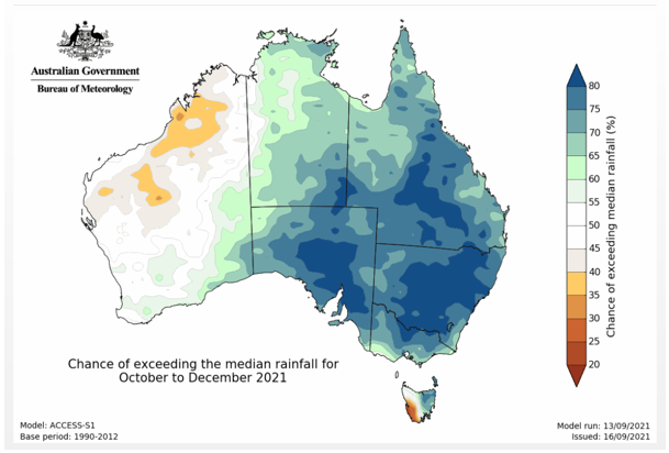 does queensland rainfull hold the answer to the cattle price question marketpulse auctionsplus 1