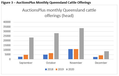 does queensland rainfull hold the answer to the cattle price question marketpulse auctionsplus 3