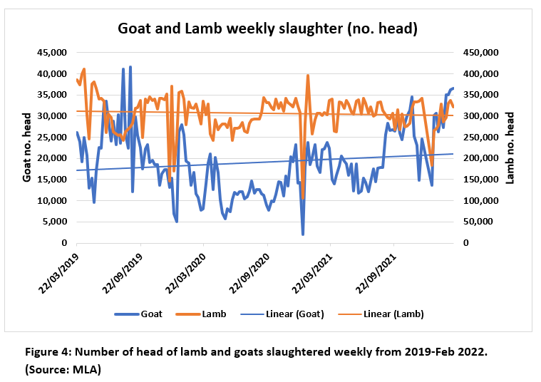 goat and lamb weekly slaughter (no of head)-1