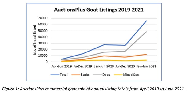 goat market bringing big bucks 2 JPG