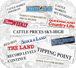 Overdue, Overhyped or Overheated the state of the australian cattle market 2