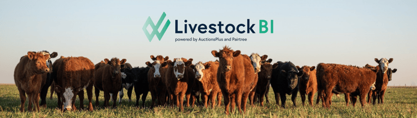 livestockbi banner