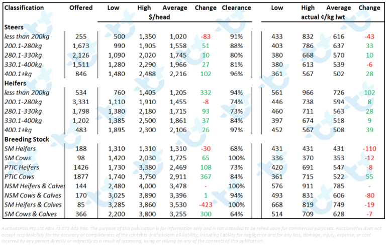 market comments cattle 23.07.21-1