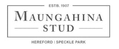 maungahina stud