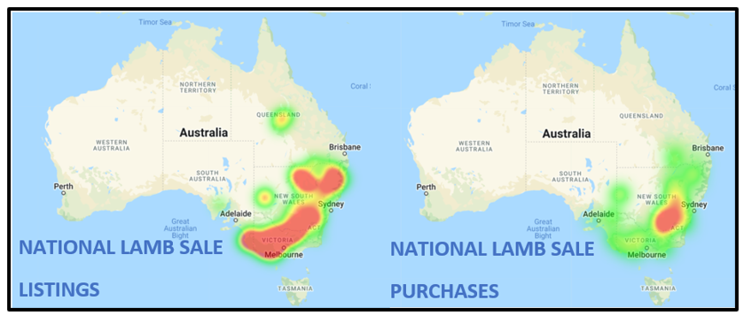 national lamb listing and purchase