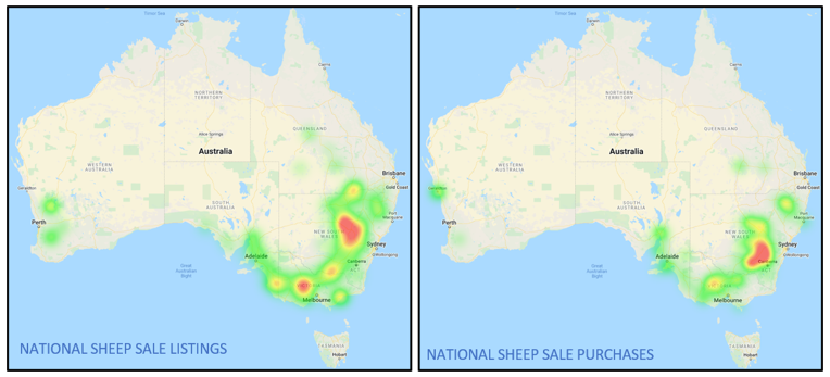 national sheep sales listings and purchases 11.3.22