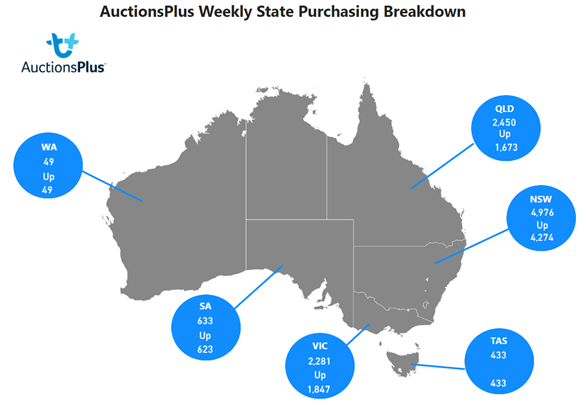 purchases map-1