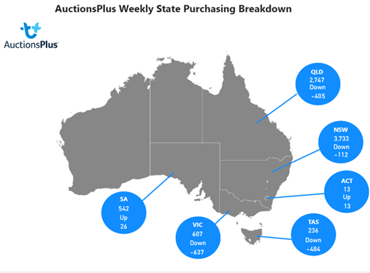 purchases map-May-05-2023-06-24-42-6354-AM