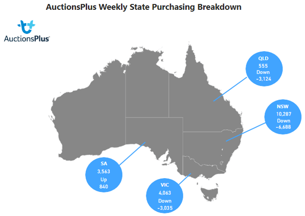 purchases map