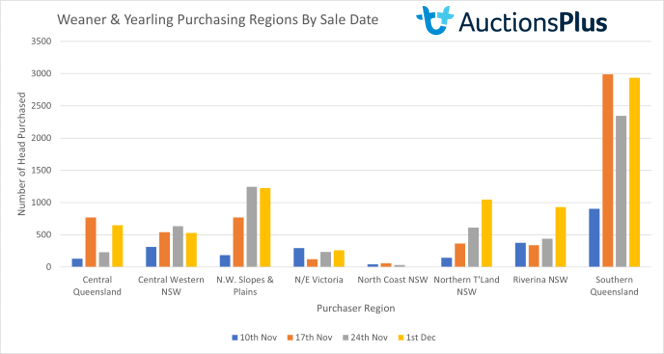 purchases with logo