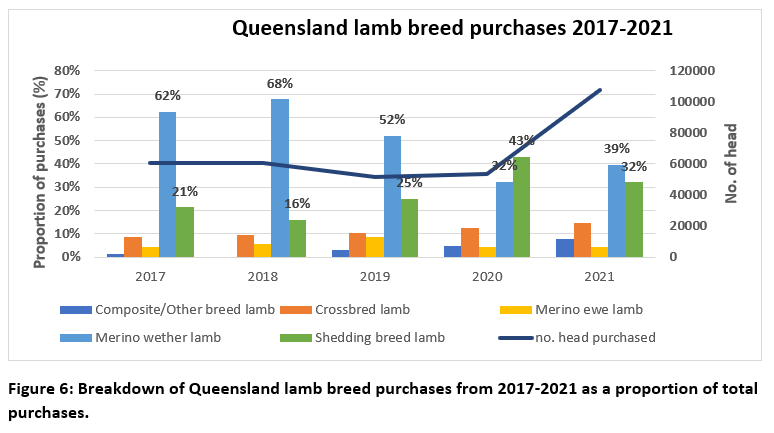 qld lamb breed purchases fig 6