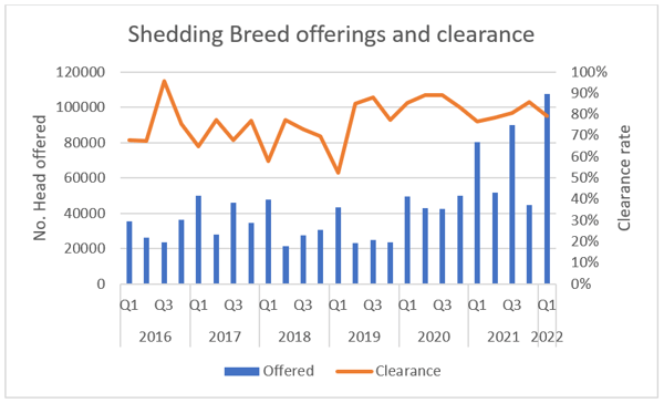 shedding breed  offerings and clearance