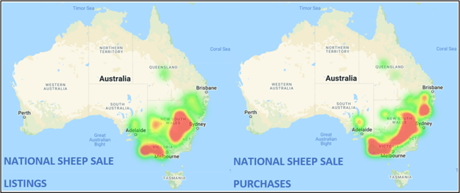 sheep comments 18.03.22 2