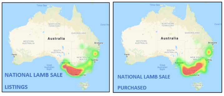 sheep comments 19.11.21 1