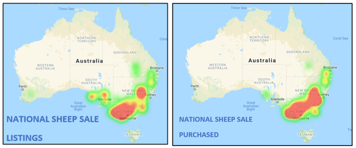 sheep comments 19.11.21 2