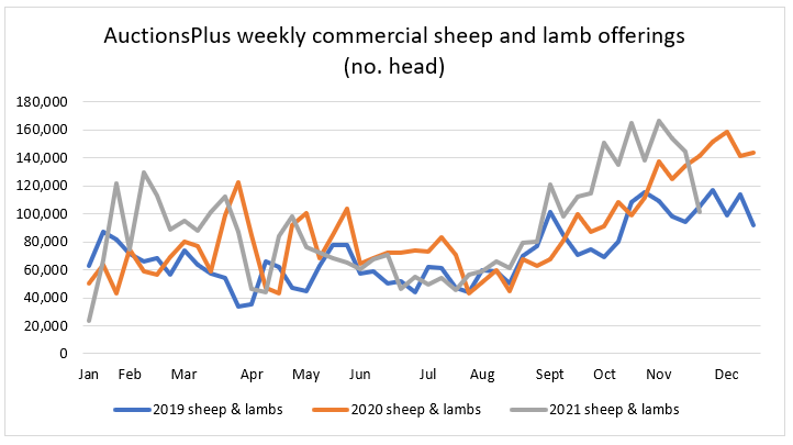 sheep comments 19.11.21 3