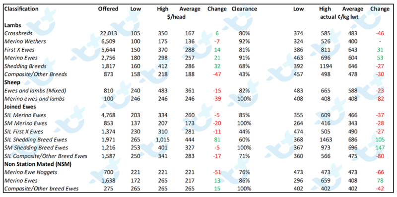 sheep lamb market comments 13.08.21