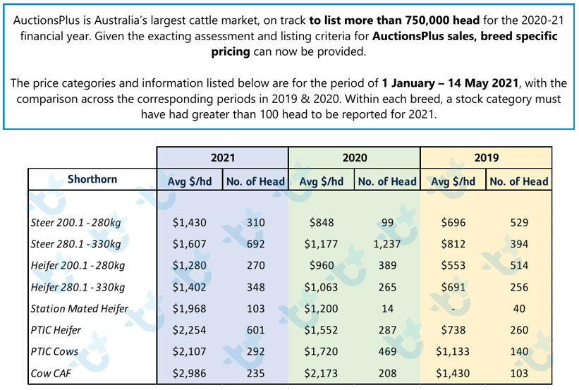 shorthorn breed breakdown may 2021