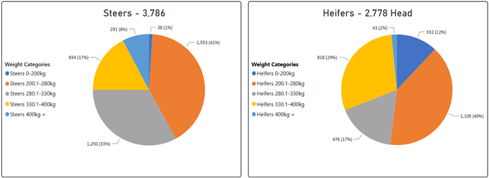 steer and heifer graphs