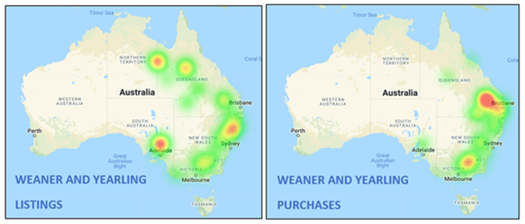 weaner & yearling listings