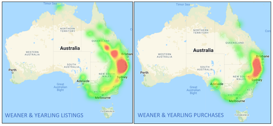 weaner and yearling listing and purchasing