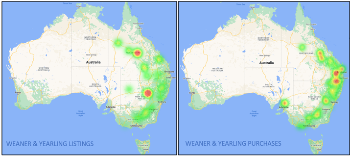 weaner and yearling listings 