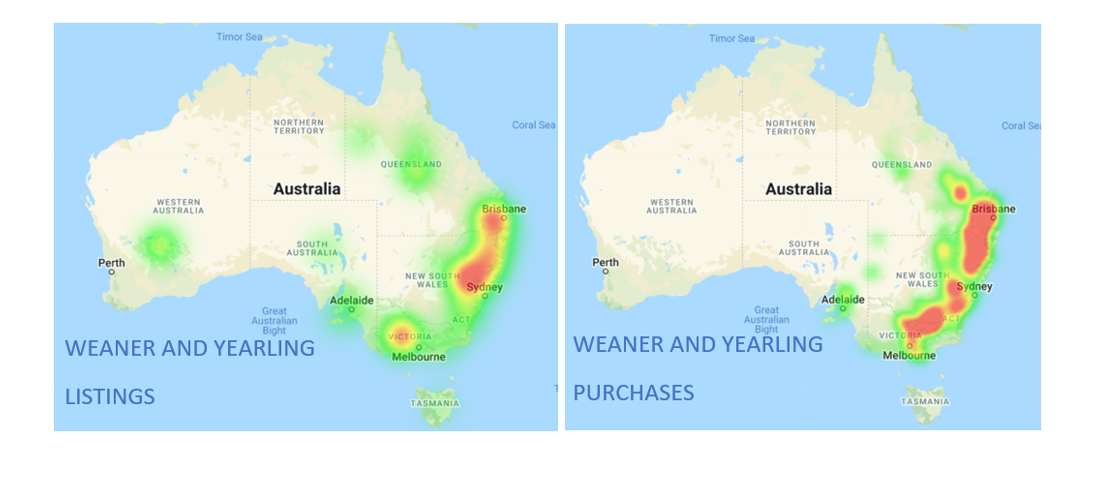 weaner and yearling listings and purchases heatmap 25.02.2022