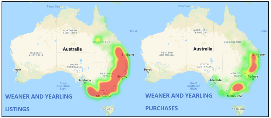 weaner and yearling listings