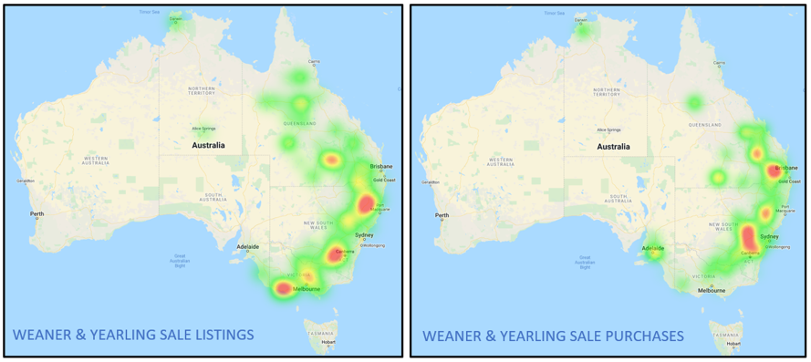 weaner and yearling purchases and listings 11.3.22