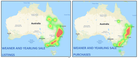 weaner and yearling sale