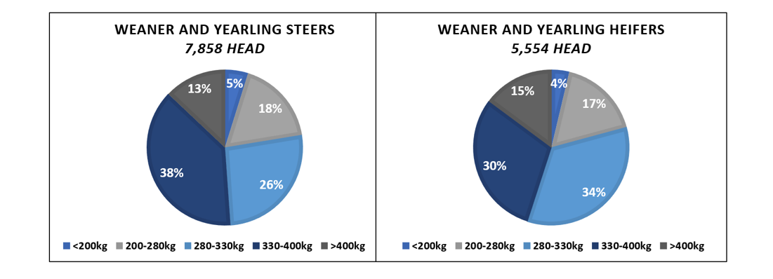 weaner and yearling steers and heifers pie chart 4.3.22