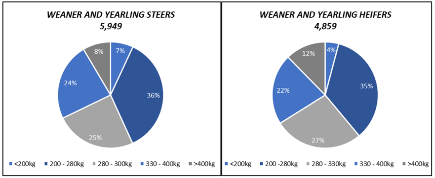 weaner and yearling steers and heifers purchases and listings 11.3.22