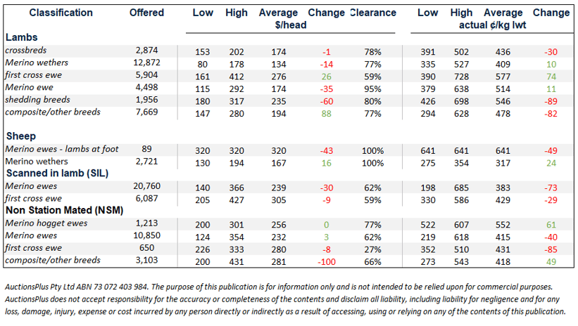 weekly sheep lamb comments 26.02.21