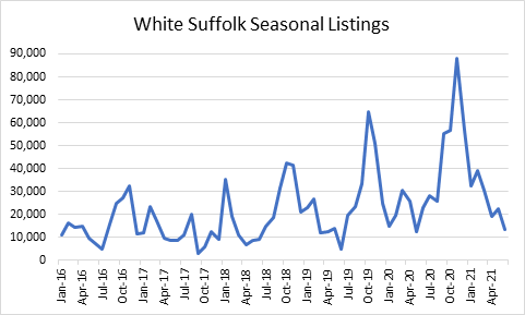 white suffolk listing go baalistic 2-1